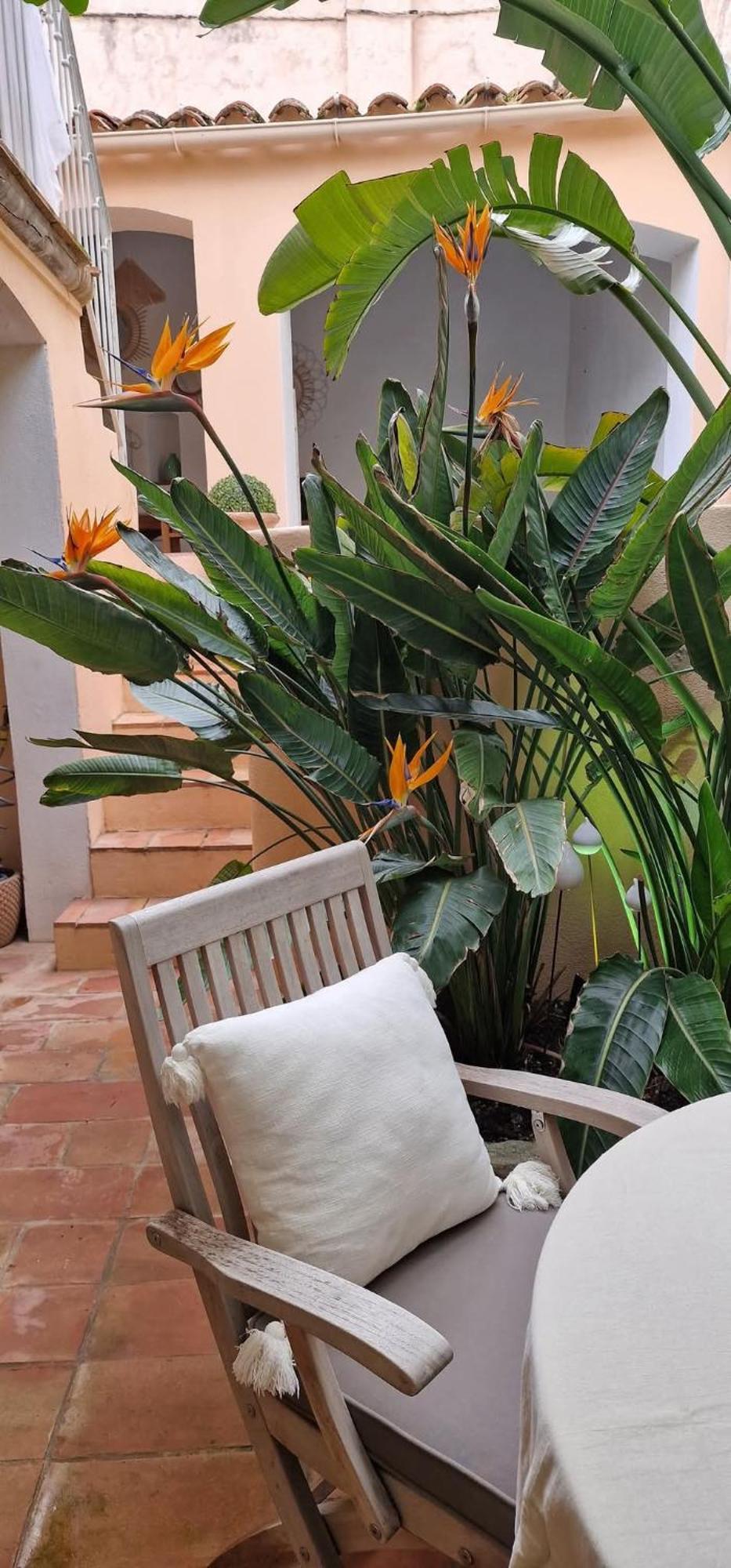 Maison Magdeleine Villa Saint-Tropez