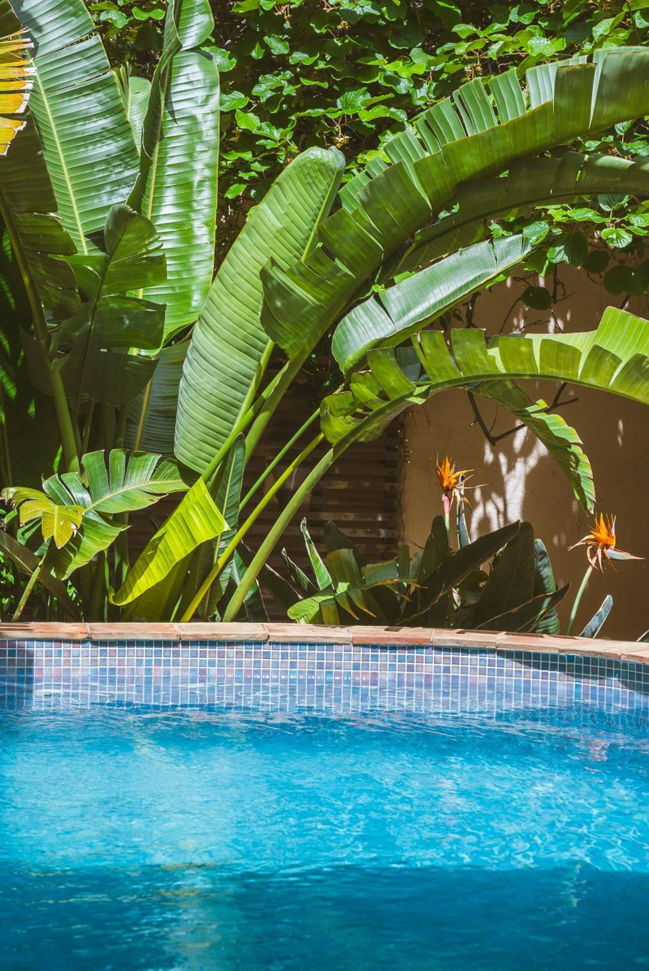 New Magdelein Villa Saint-Tropez